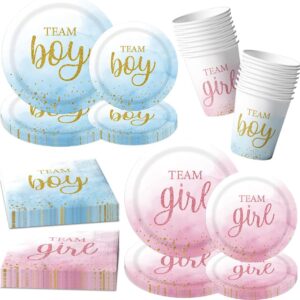 80PCS Gender Reveal Tableware Set – Team Boy or Girl Plates & Napkins