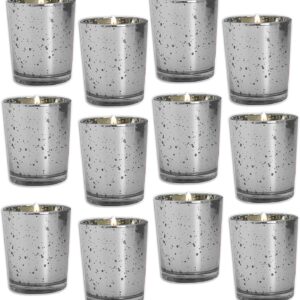 Royal Imports Silver Mercury Glass Votive Candle Holder (Set of 12)