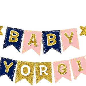 Boy or Girl Gender Reveal Party Decorations - Banner for Baby Shower Party Supplies