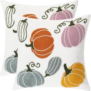 Fall Pillow Covers 18x18 – Set of 2 Embroidered Pumpkin Throw Pillows