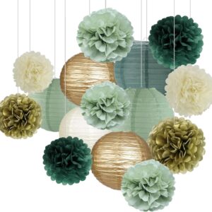 15pc Sage Green Party Decorations - Lanterns & Pom Poms