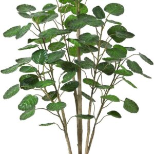 5ft Artificial Aralia Balfour Tree with Woven Basket – Indoor Fake Greenery Decor