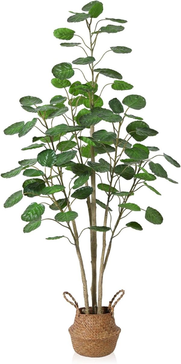 5ft Artificial Aralia Balfour Tree with Woven Basket – Indoor Fake Greenery Decor