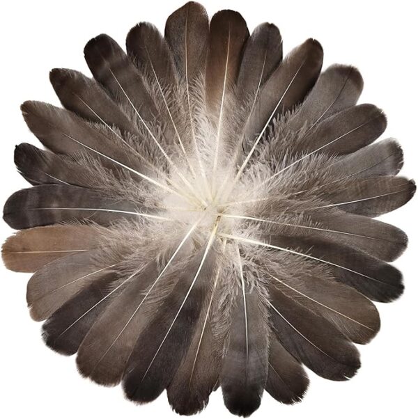 120PCS Natural Gray Goose Feathers, 6–8" for DIY Crafts, Cosplay & Decorations