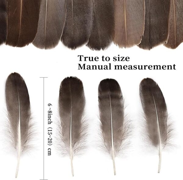 120PCS Natural Gray Goose Feathers, 6–8" for DIY Crafts, Cosplay & Decorations - Image 2
