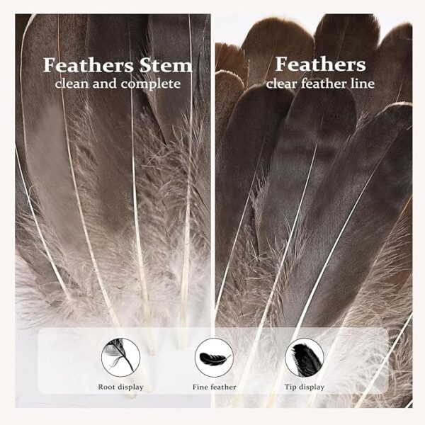 120PCS Natural Gray Goose Feathers, 6–8" for DIY Crafts, Cosplay & Decorations - Image 3