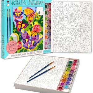 Bright Stripes iHeartArt Paint By Number Kit - Butterflies and Blooms