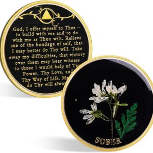 Snowdrop Resin Sobriety Coins
