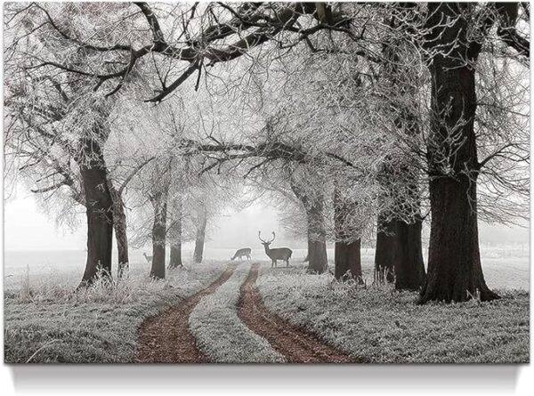 Snowy Forest Elk Canvas