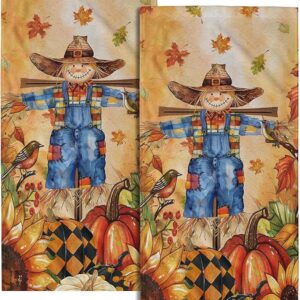 Fall Scarecrow Hand Towels – Set of 2 Autumn Pumpkin Kitchen & Bath Towels
