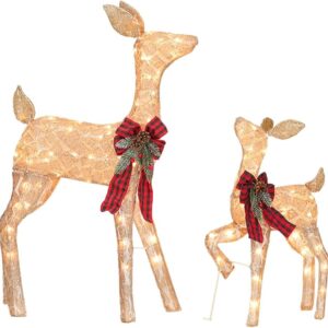 Lighted Reindeer Christmas Decor - 2 Pc Set