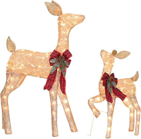 Lighted Reindeer Christmas Decor - 2 Pc Set