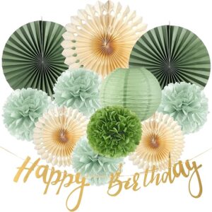 Sage Green Birthday Decorations Kit