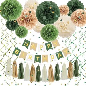 Green Birthday Decorations Set - Pom Poms, Banner & More