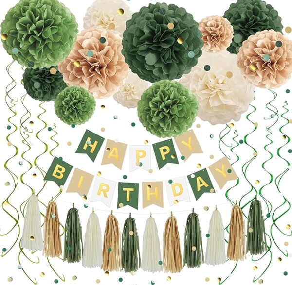 Green Birthday Decorations Set - Pom Poms, Banner & More